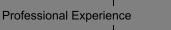 Professional Experience